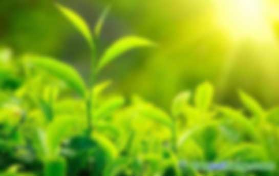 陳亞芹、別智等:國內外綠色金融產(chǎn)品與金融政策綜述