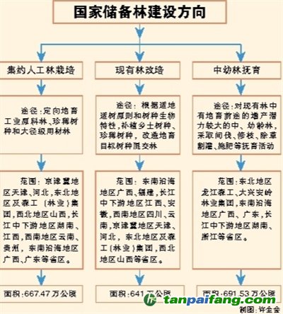 國家儲備林，儲備我們的未來