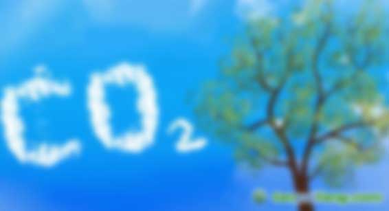 中創(chuàng)碳投教育第95期“碳市場機(jī)制與企業(yè)碳管理”高級課程開始招生啦！