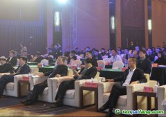2019中國綠色城市指數(shù)TOP50發(fā)布，哪些城市是綠色標(biāo)桿？