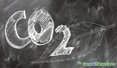 歐盟碳信用額度價(jià)格升至14年來(lái)新高，專(zhuān)家稱(chēng)后市走勢(shì)取決于疫情