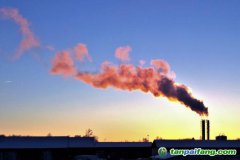 人社部碳交易師和碳排放管理師哪個(gè)好？證書有用嗎？再哪里報(bào)考的官方報(bào)名入口來了