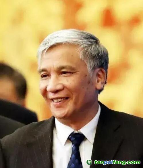 全國(guó)人大常委會(huì)副委員長(zhǎng)丁仲禮：中國(guó)碳中和，可這樣“四步走”！