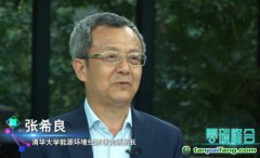 張希良：可適當(dāng)引入有償碳排放配額、碳稅機(jī)制