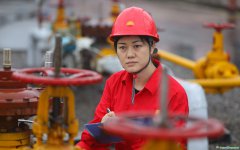 二十大代表謝利平：化精神為動(dòng)力，為碳達(dá)峰碳中和作出基層貢獻(xiàn)