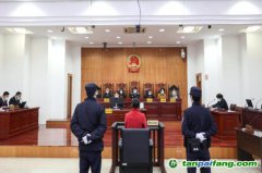碳匯修復(fù)，解鎖生態(tài)司法綠色基因