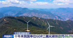 我國碳達峰、碳中和政策和行動保障體系已基本形成