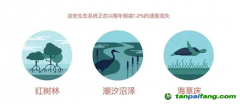 183元/噸！碳匯爆發(fā)，CCER市場(chǎng)價(jià)格的風(fēng)向標(biāo)？
