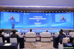 在廣東，碳配額抵質(zhì)押融資有了地方標(biāo)準(zhǔn)