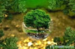 控排企業(yè)碳資產(chǎn)管理代運(yùn)營(yíng)：配額籌劃、合規(guī)化改造等數(shù)據(jù)優(yōu)化、碳交易金融化思維