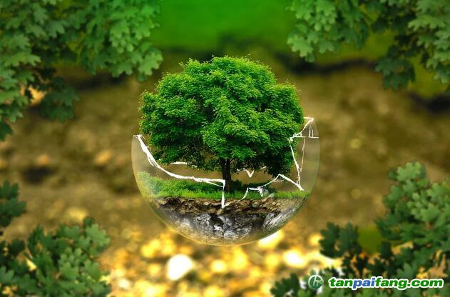 控排企業(yè)碳資產(chǎn)管理代運營：配額籌劃、合規(guī)化改造等數(shù)據(jù)優(yōu)化、碳交易金融化思維