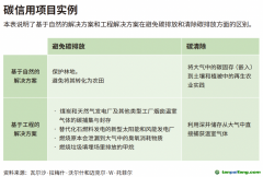 企業(yè)領導者為什么必須了解碳信用額？