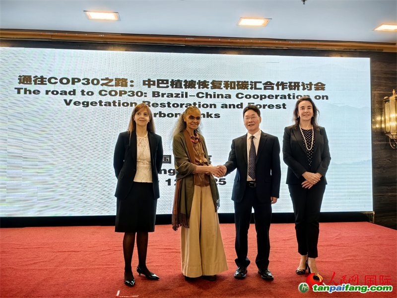 中國國家林業(yè)和草原局副局長李云卿（右二）、巴西環(huán)境和氣候變化部部長瑪麗娜·席爾瓦（左二）、巴西財政部副部長羅熙丹（右一）、巴西駐華大使館公參樂美（左一）出席“通往COP30之路：中巴植樹造林和碳匯合作研討活動”。人民網(wǎng)記者 符園園攝